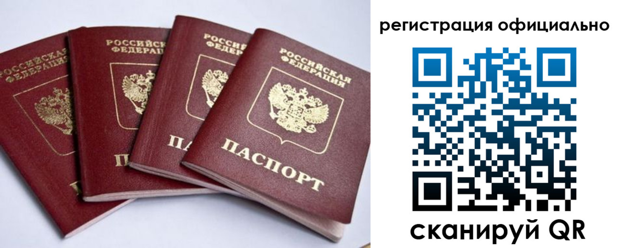 пропишу в квартире в Новгородской области